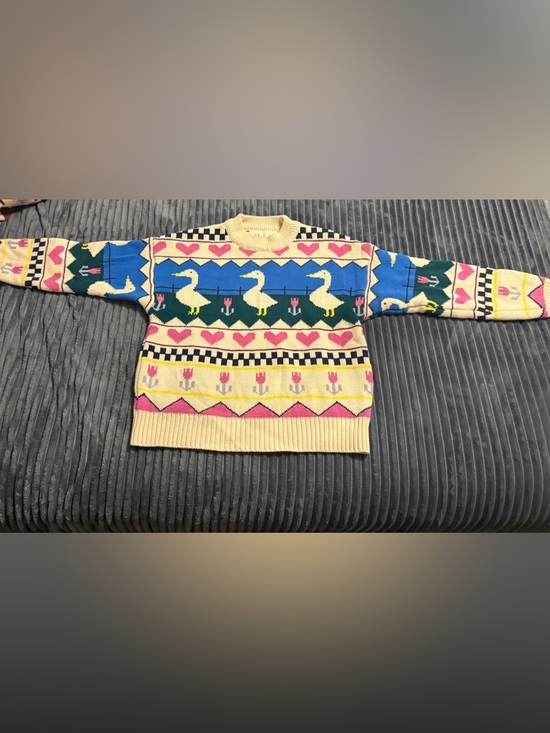 Kina And Tam Sweaters - NWOT Kina and Tam goose sweater